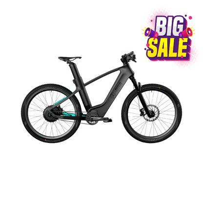 VoltRider™ Elektrofahrrad